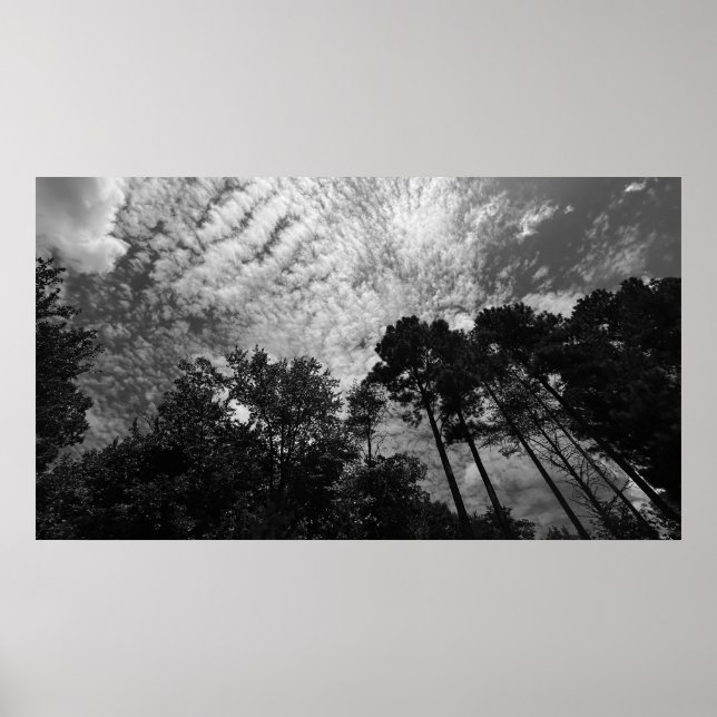 Póster Cielos nublados, Poster (Frente)