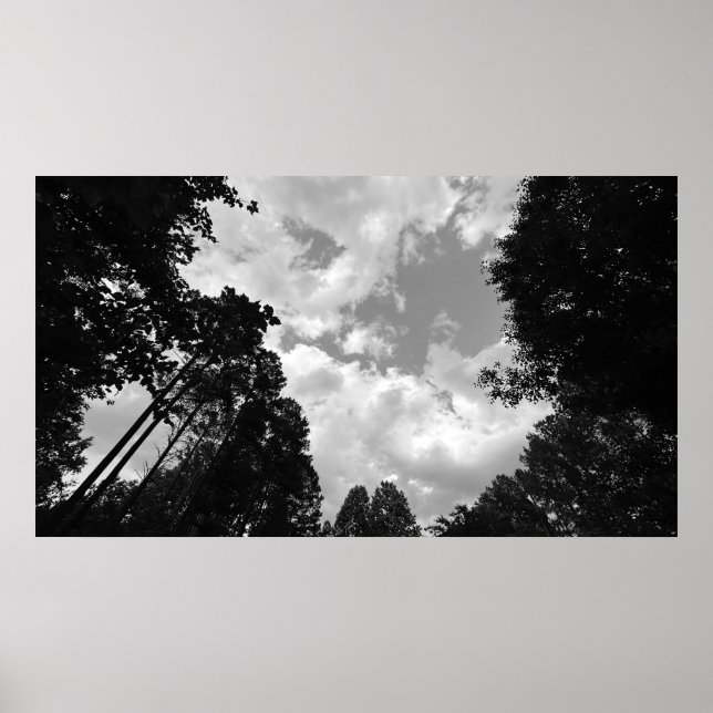 Póster Cielos nublados, Poster (Frente)