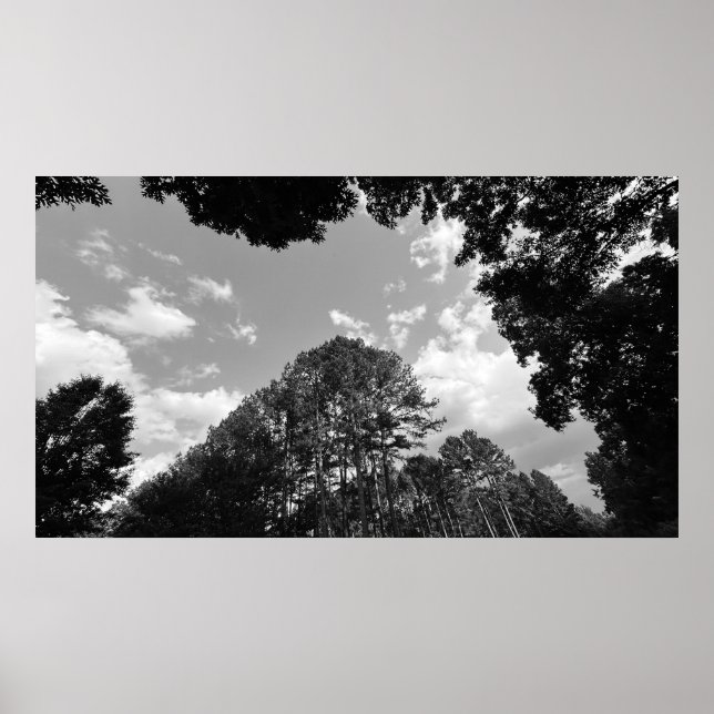 Póster Cielos nublados, Poster (Frente)