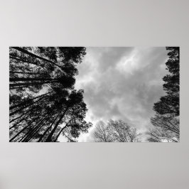 Póster Cielos nublados, Poster