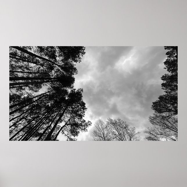 Póster Cielos nublados, Poster (Frente)