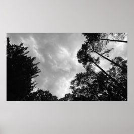 Póster Cielos nublados, Poster