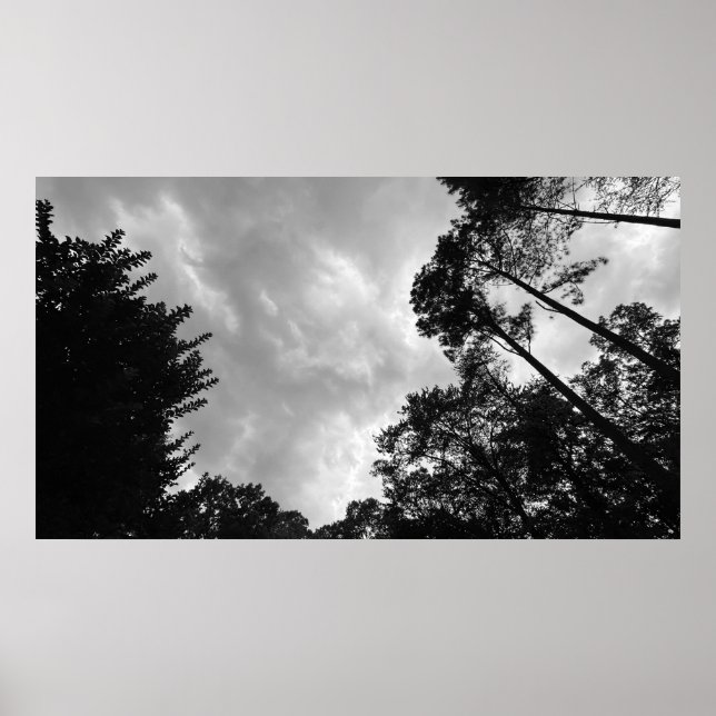 Póster Cielos nublados, Poster (Frente)