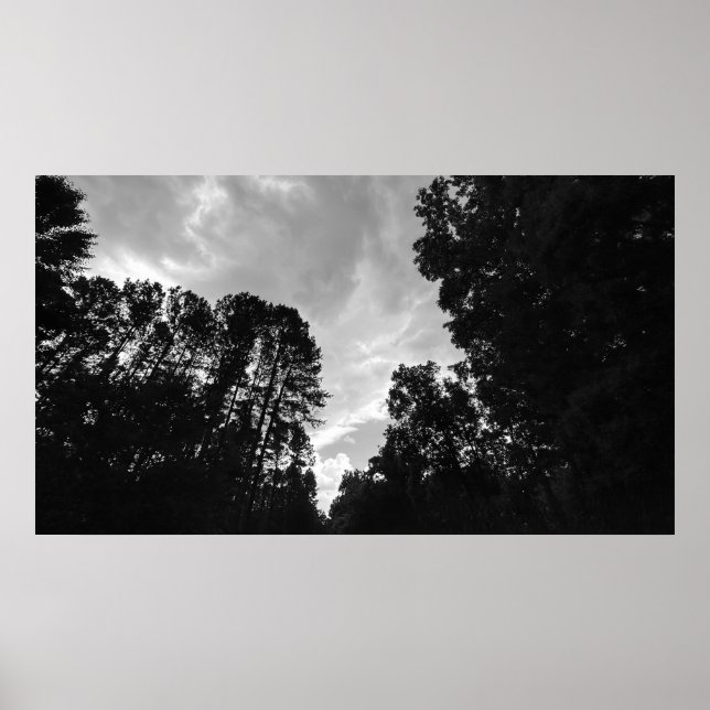 Póster Cielos nublados, Poster (Frente)