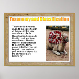 Póster Ciencia, ciencia de la vida, taxonomía y clasifica