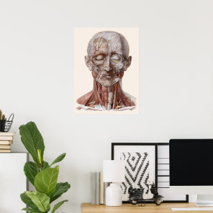 Póster Ciencia de la anatomía humana vintage, nariz de ga