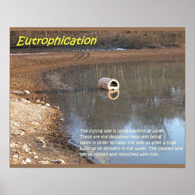 Póster Ciencia de la Tierra, Medio Ambiente, Eutrofizació (Frente)