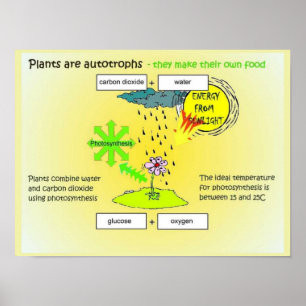 Póster Ciencia, plantas, autógrafos, alimentos