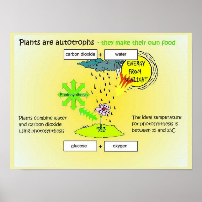 Póster Ciencia, plantas, autógrafos, alimentos (Frente)