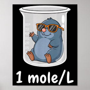 Póster Ciencia y Tecnología Química Divertida 1 Mol L