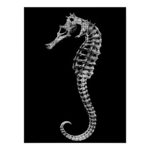 Póster científico del esqueleto de caballito de ma