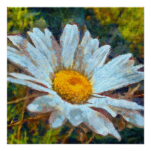 Cierre artístico de una flor marguerita