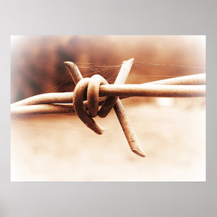 Póster Cierre de Barbwire de la sepia encima del poster