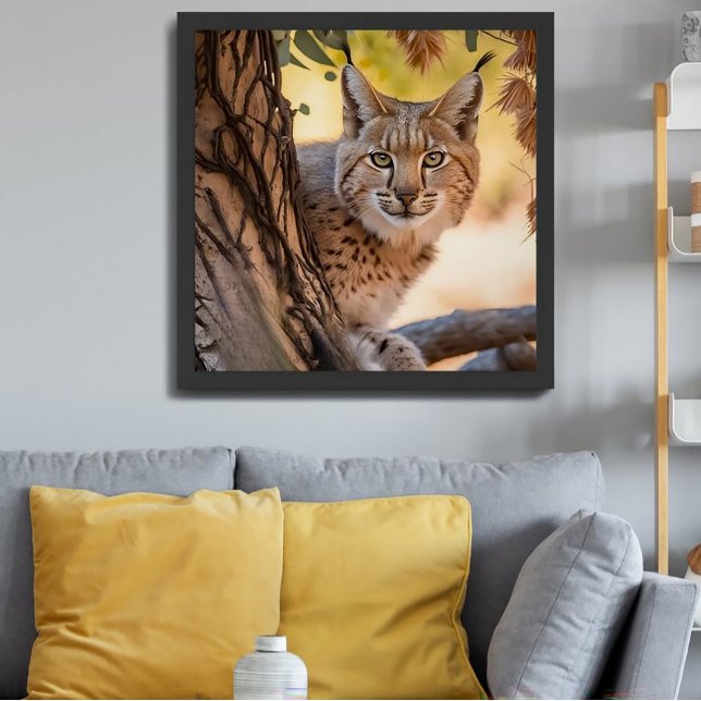 Póster Cierre de Bobcat con fotografía de vida silvestre (Subido por el creador)