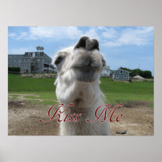 Póster Cierre de Kiss Me Llama