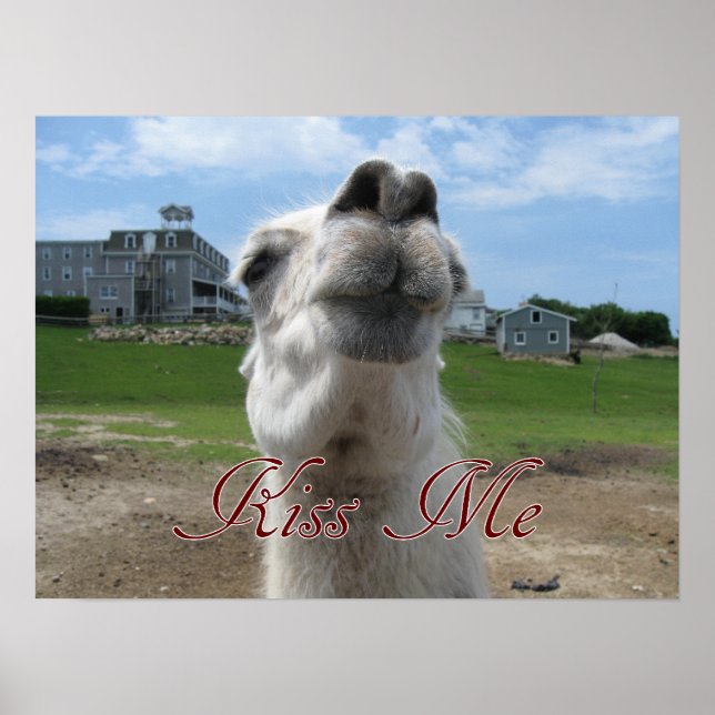 Póster Cierre de Kiss Me Llama (Frente)