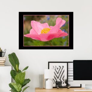 Póster Cierre de la fotografía de la amapola rosa con mar
