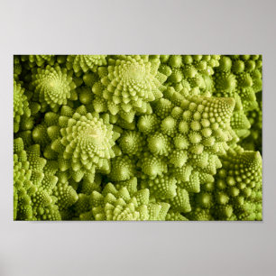 Póster Cierre de la verdura del bróculi de Romanesco para