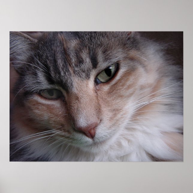 Póster Cierre de Lulu (Frente)