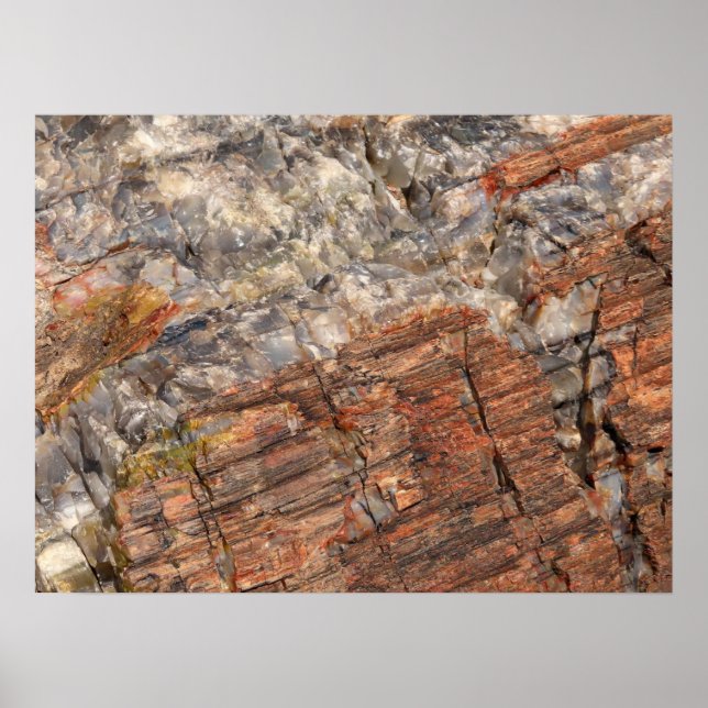 Póster Cierre de registro de Petrificados I (Frente)