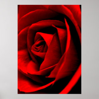 Póster Cierre de Rosa