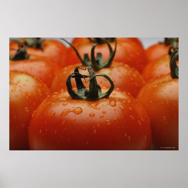 Póster Cierre de tomates 2 (Frente)