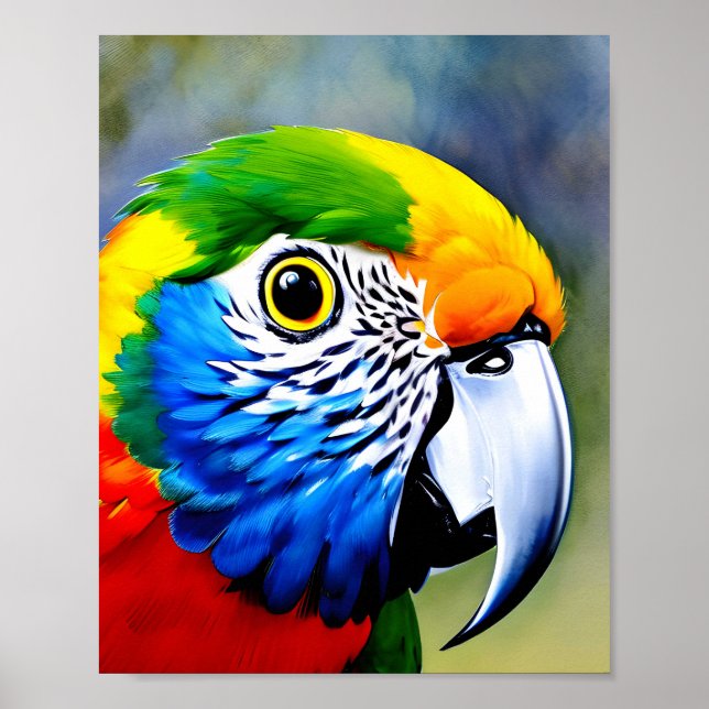 Póster Cierre de un colorido pájaro de loro (Frente)