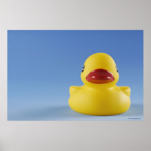 Póster Cierre de un pato de caucho