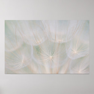 Póster Cierre de una cabeza de semilla, Canadá