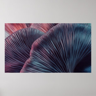 Póster Cierre el hermoso grupo de hongos color luz en