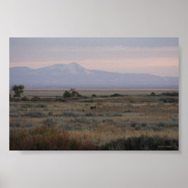 Póster Ciervo de cola blanca D10 Sweet Grass Hills