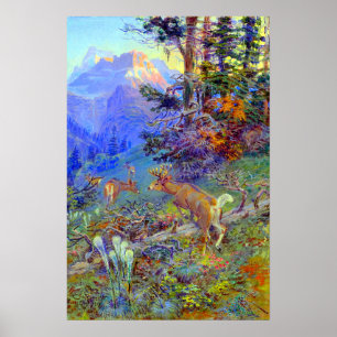 Póster Ciervos en bosque ciervo de cola blanca Charles Ru
