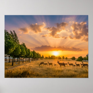 Póster Ciervos en cartel de puesta de sol dorada - Manada