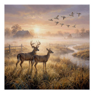 Póster Ciervos y patos en niebla matutina