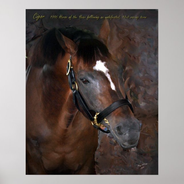 Póster Cigar (Frente)