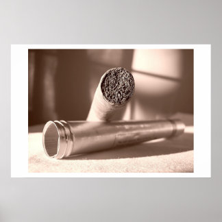 Póster Cigar