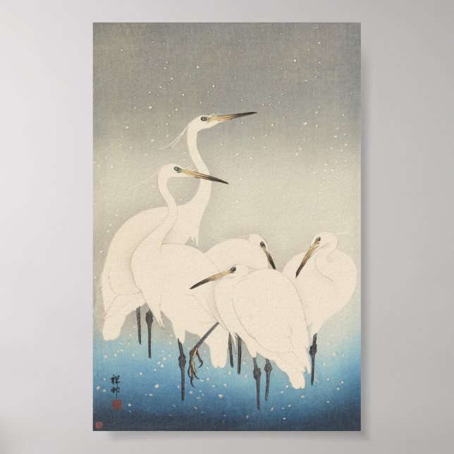 Póster Cinco alverjas blancas (Frente)