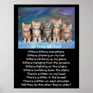 Póster Cinco gatitos adorables de mesa