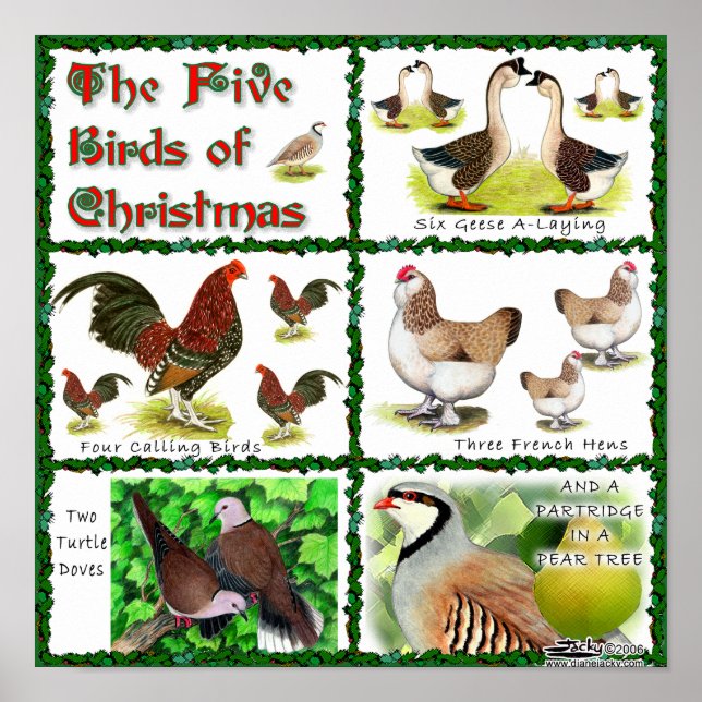 Póster Cinco pájaros de Navidades (Frente)