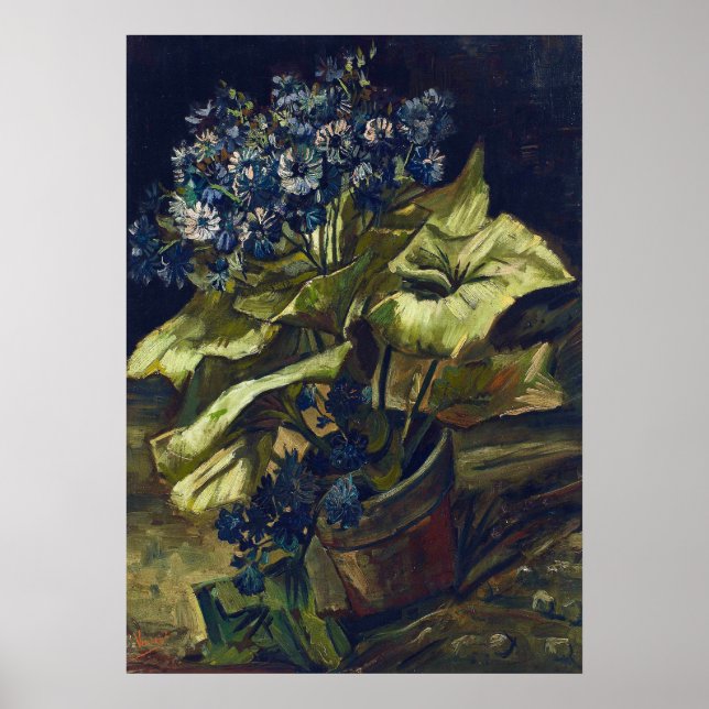 Póster Cineraria de Van Gogh en una maceta (Frente)