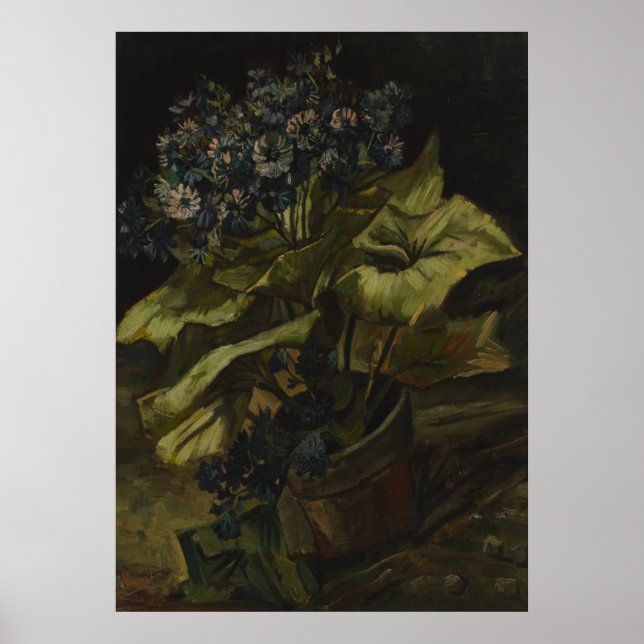 Póster Cineraria de Vincent Van Gogh (Frente)
