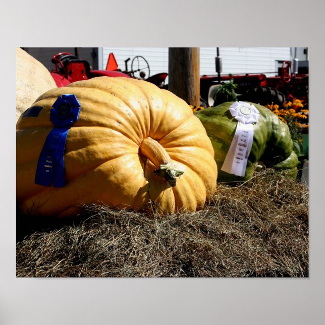 Póster Cinta azul de calabaza gigante para el país (Frente)