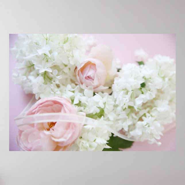 Póster cinta de la hidrangea del Rosa (Frente)