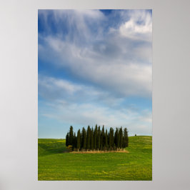 Póster Cipreses en Tuscany cartel vertical