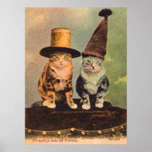 Póster circa 1900 cats in hats RPPC