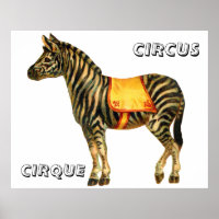 Circo vintage con cebra