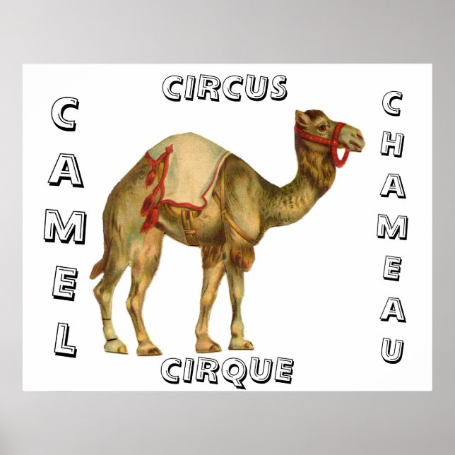 Póster Circo vintage en camello (Frente)
