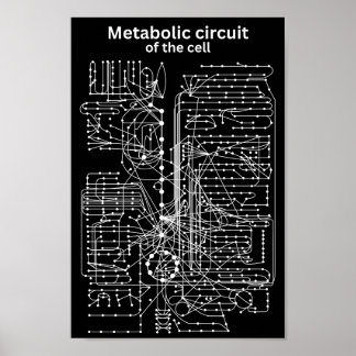 Póster Circuito metabólico de la célula
