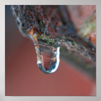 Póster Círculo colorido