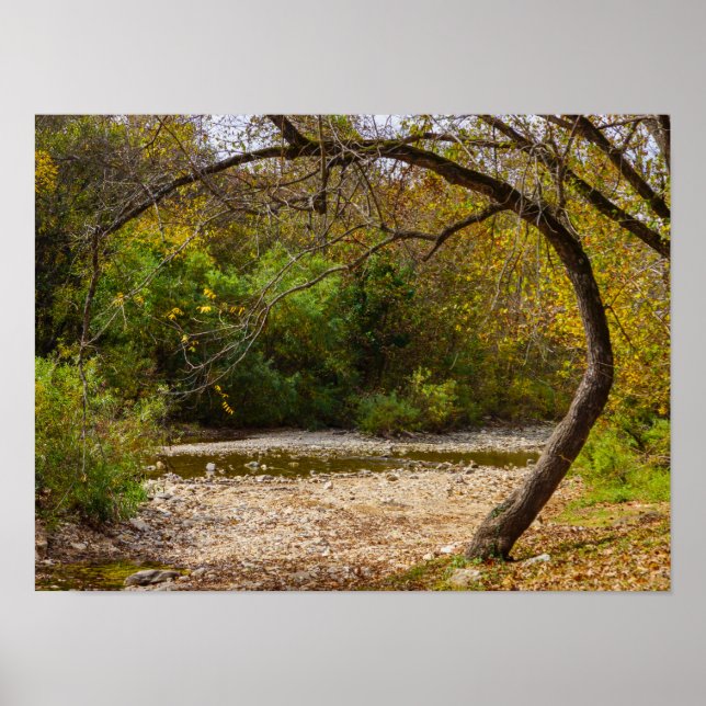 Póster Círculo de naturalezas (Frente)